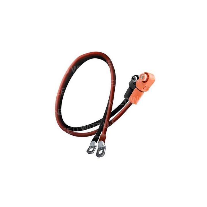 Cable de conexión de la batería Pylontech
