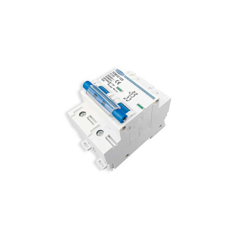 Disjoncteur 2P 125A courbe C