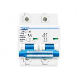 Disjoncteur 2P 125A courbe C