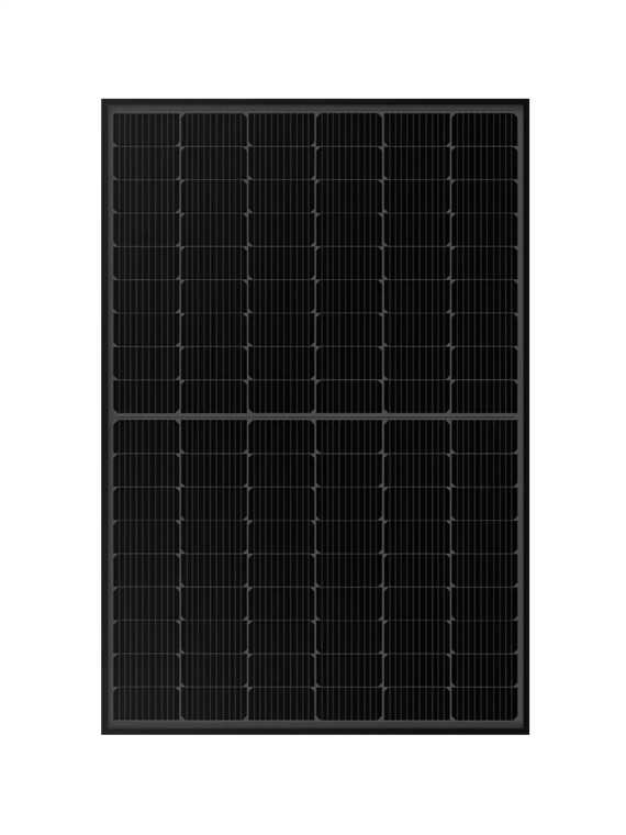Leapton N-Type 450Wp TOPCon bifacial — vue 3