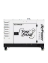 ITC Power DG16000SE-T 16.3kVA Full Power 230V/400V Diesel Generator