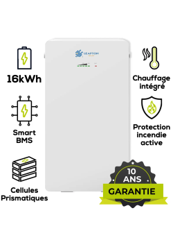Leapton EL-A16 LiFePO4-Lithium-Batterie, 16 kWh, 314 Ah – Schutzklasse IP65 & integrierte Heizung