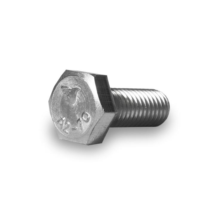 Hexagon head screw M10x25 100x