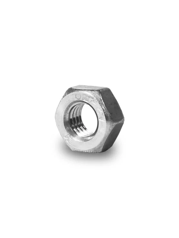 Hexagon nuts M10 100x