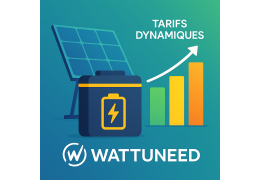 Dimensionering zonnebatterijen 2025: Complete gids met dynamische tarieven