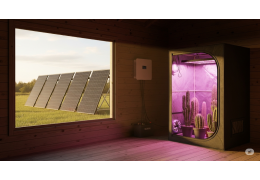 100% zelfvoorzienende cactusteelt: Wattuneed-oplossingen op zonne-energie